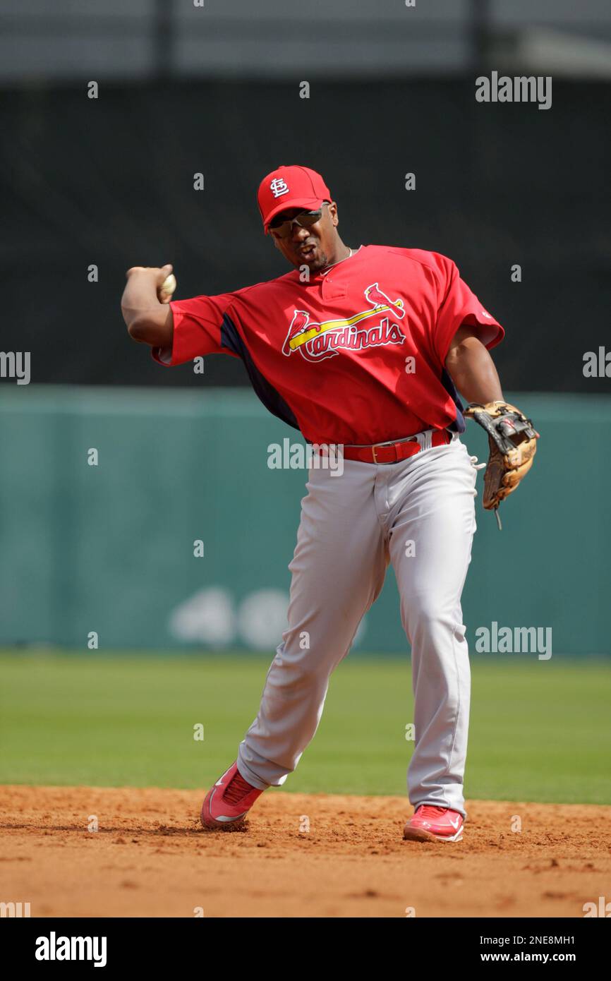 March 27, 2023; Sarasota FL USA; St. Louis Cardinals second baseman Tommy  Edman (19) throws to first base during an MLB spring training game against  t Stock Photo - Alamy