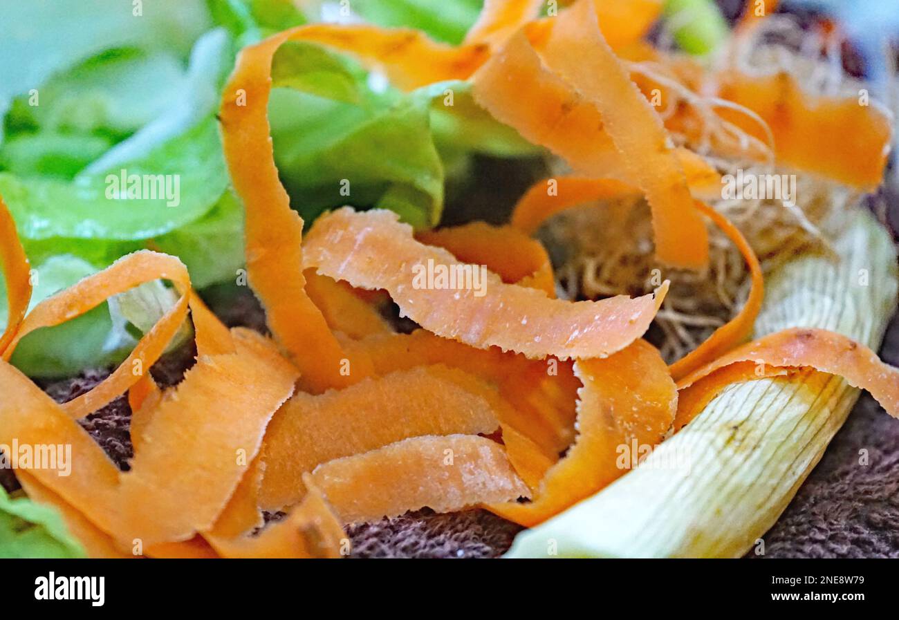 food scraps of food to throw away Stock Photo Alamy