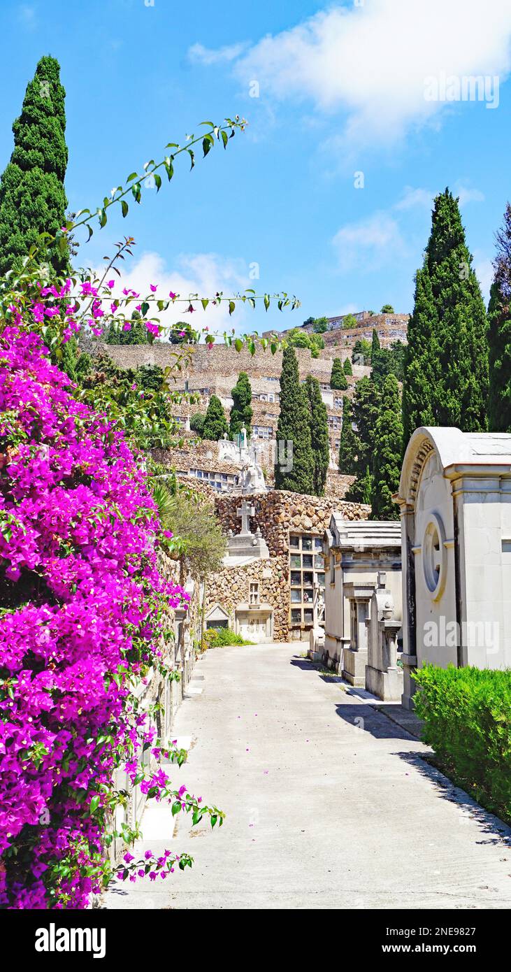 Panoramic of the Montjuic cemetery in Barcelona, Catalunya, Spain