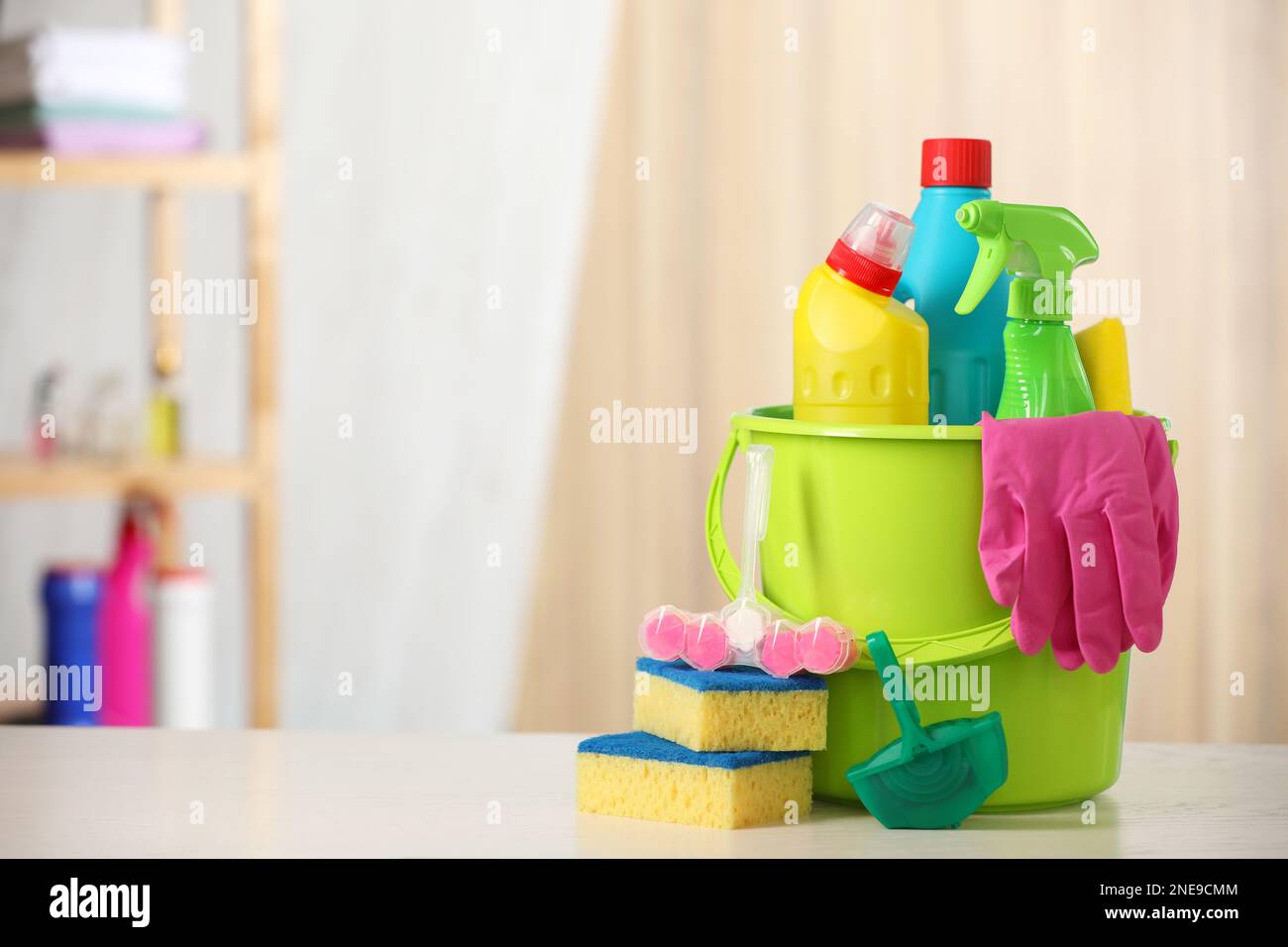 Different toilet cleaning supplies and tools on light table indoors
