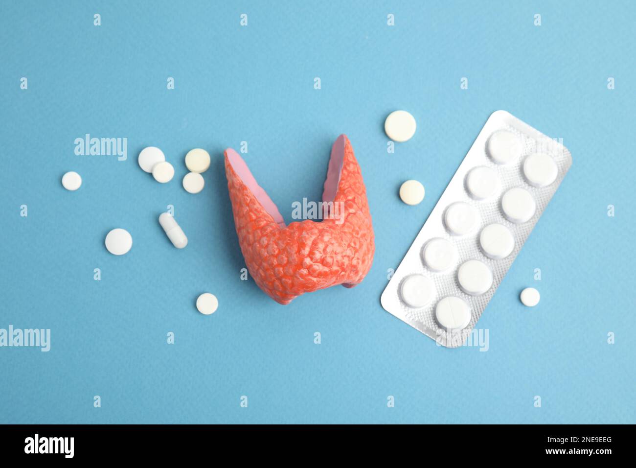 Plastic model of healthy thyroid and pills on light blue background, flat lay Stock Photo