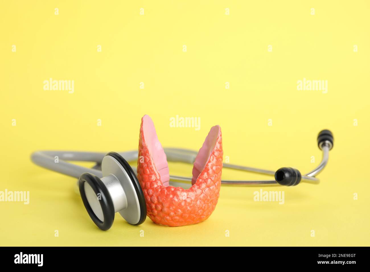 Plastic model of healthy thyroid and stethoscope on yellow background Stock Photo