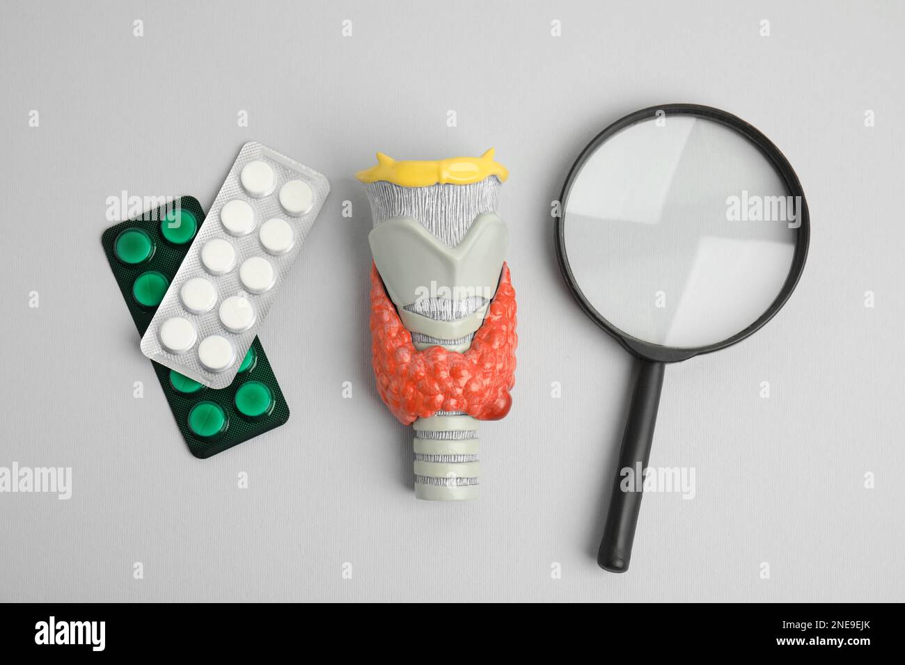 Plastic model of thyroid with tumor, pills and magnifying glass on grey background, flat lay Stock Photo