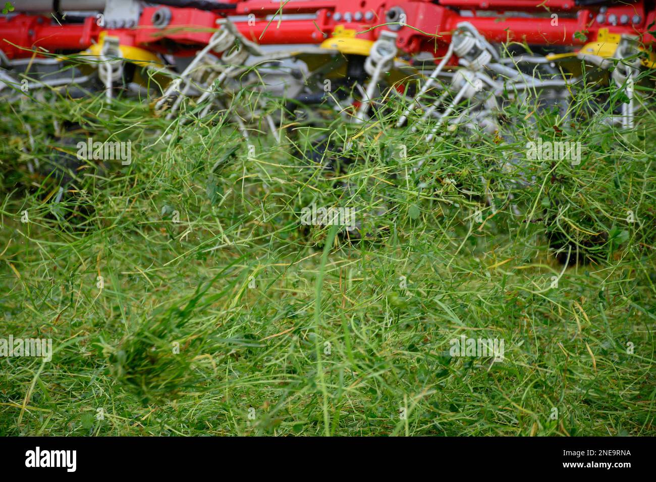 Farm machine spreading out grass after mowing to wilt it before