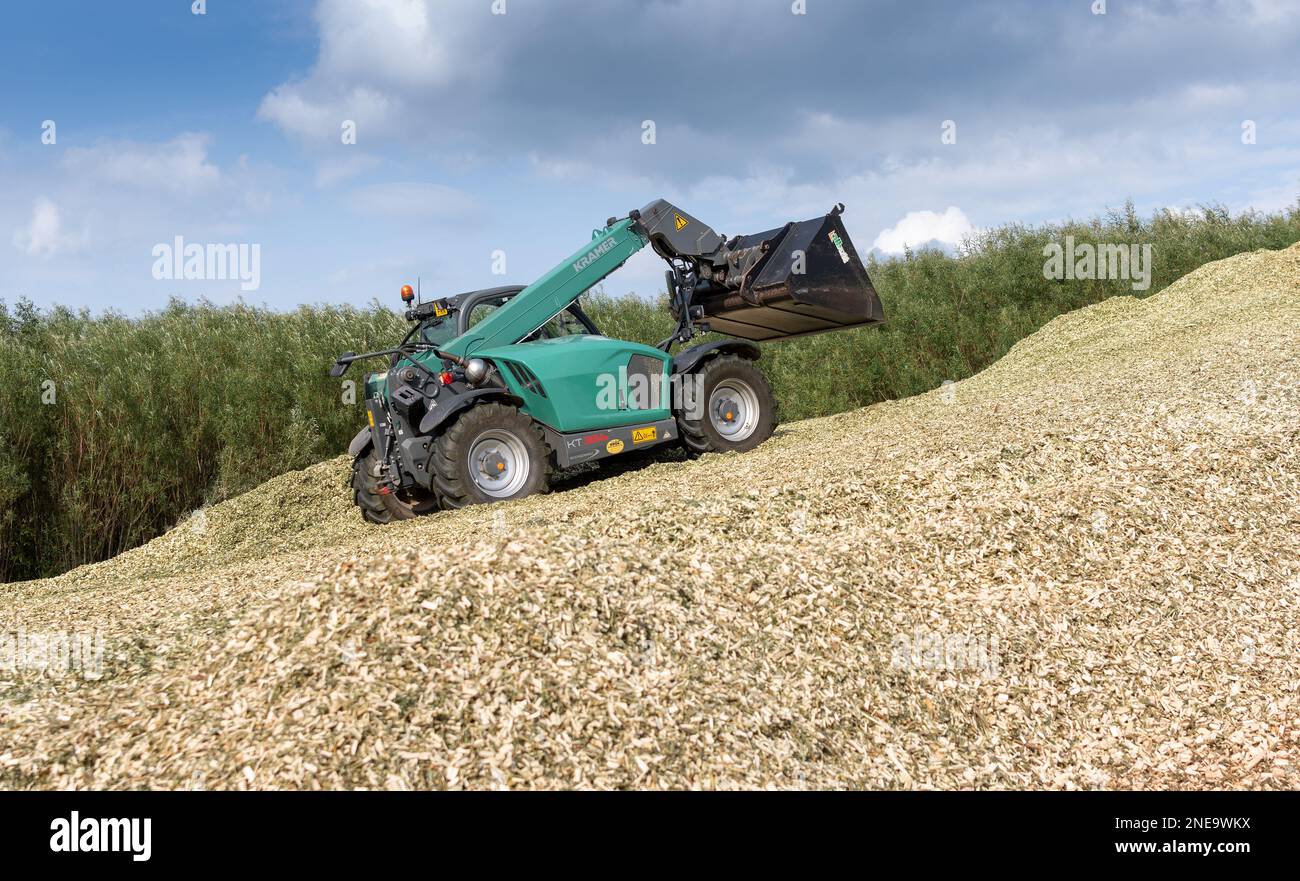 Kramer loader working on a pile of newly harvested Willow wood chip to be used for bio-fuel. Cumbria, UK. Stock Photo