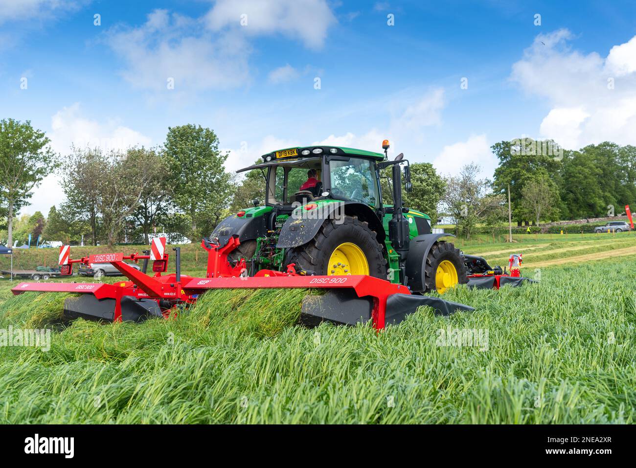 Mowing a field of Rye grass for silage to feed to dairy cattle over
