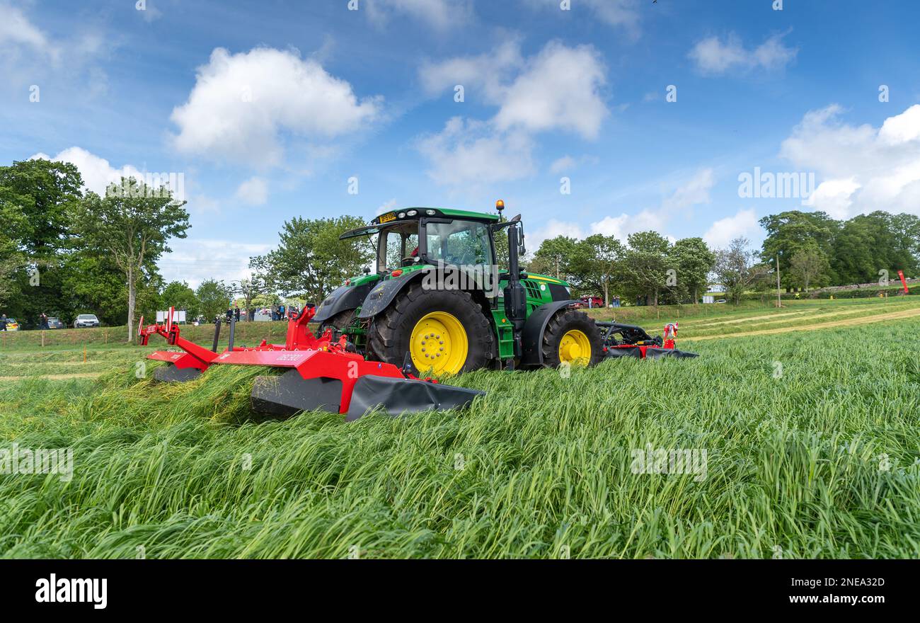 Mowing a field of Rye grass for silage to feed to dairy cattle over