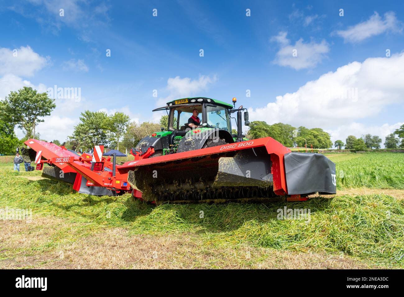 Rye grass hires stock photography and images Alamy