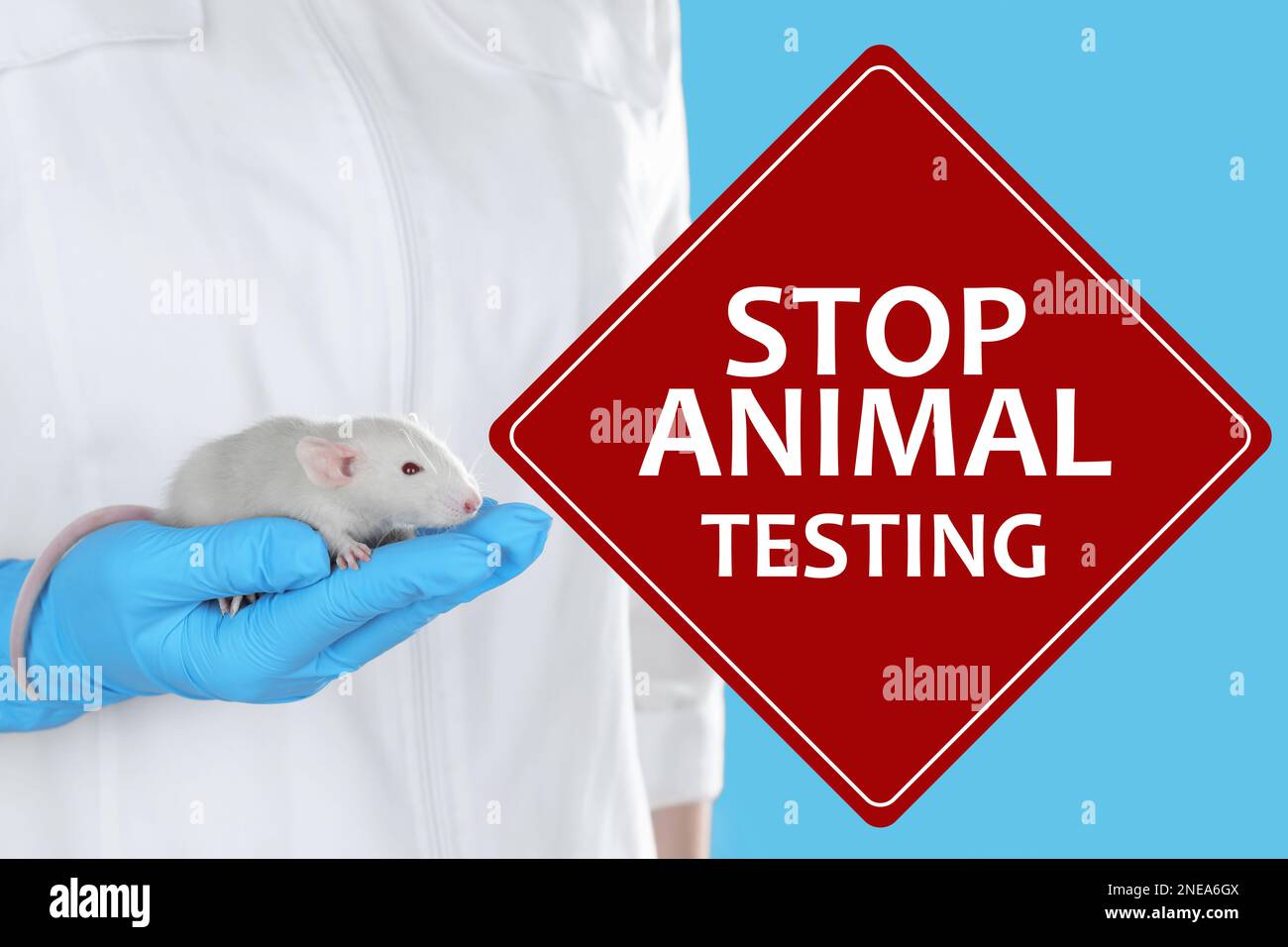 STOP ANIMAL TESTING.Scientist holding rat on light blue background