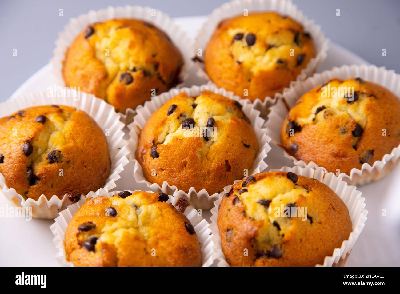 Chocolate chips muffin made in a German patisserie Stock Photo - Alamy