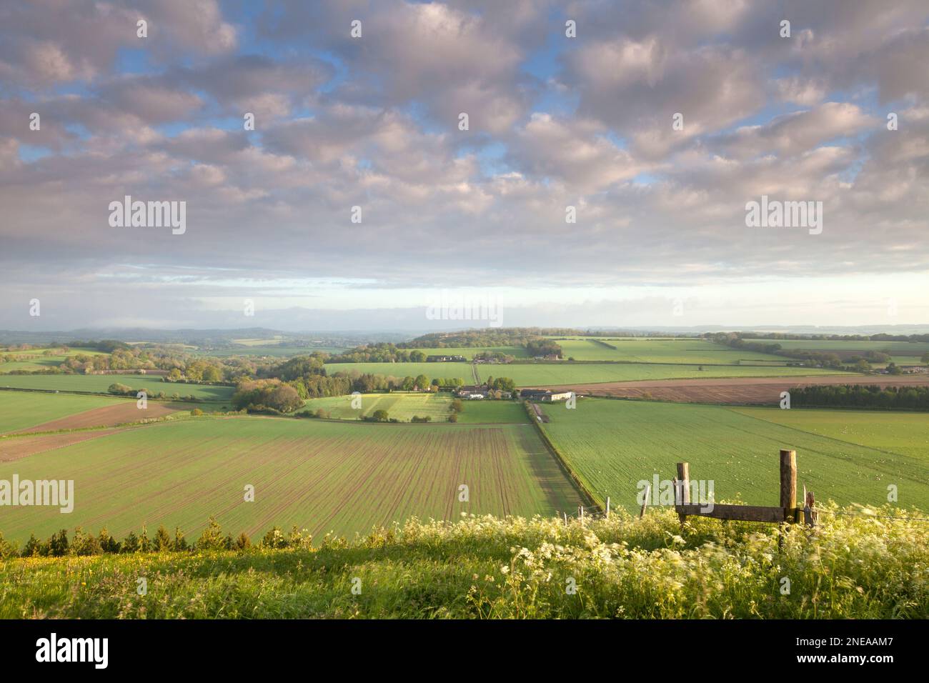 A view of the Nadder Valley near Swallowcliffe in Wiltshire. Stock Photo