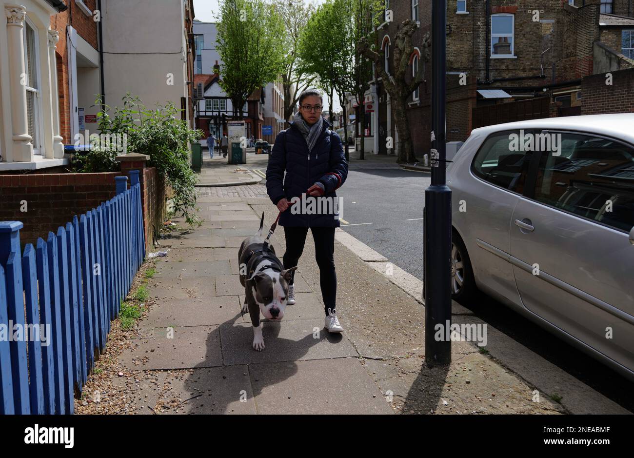 London - 04 18 2022: Woman walking her dog on Lechmere Rd in Willesden Stock Photo
