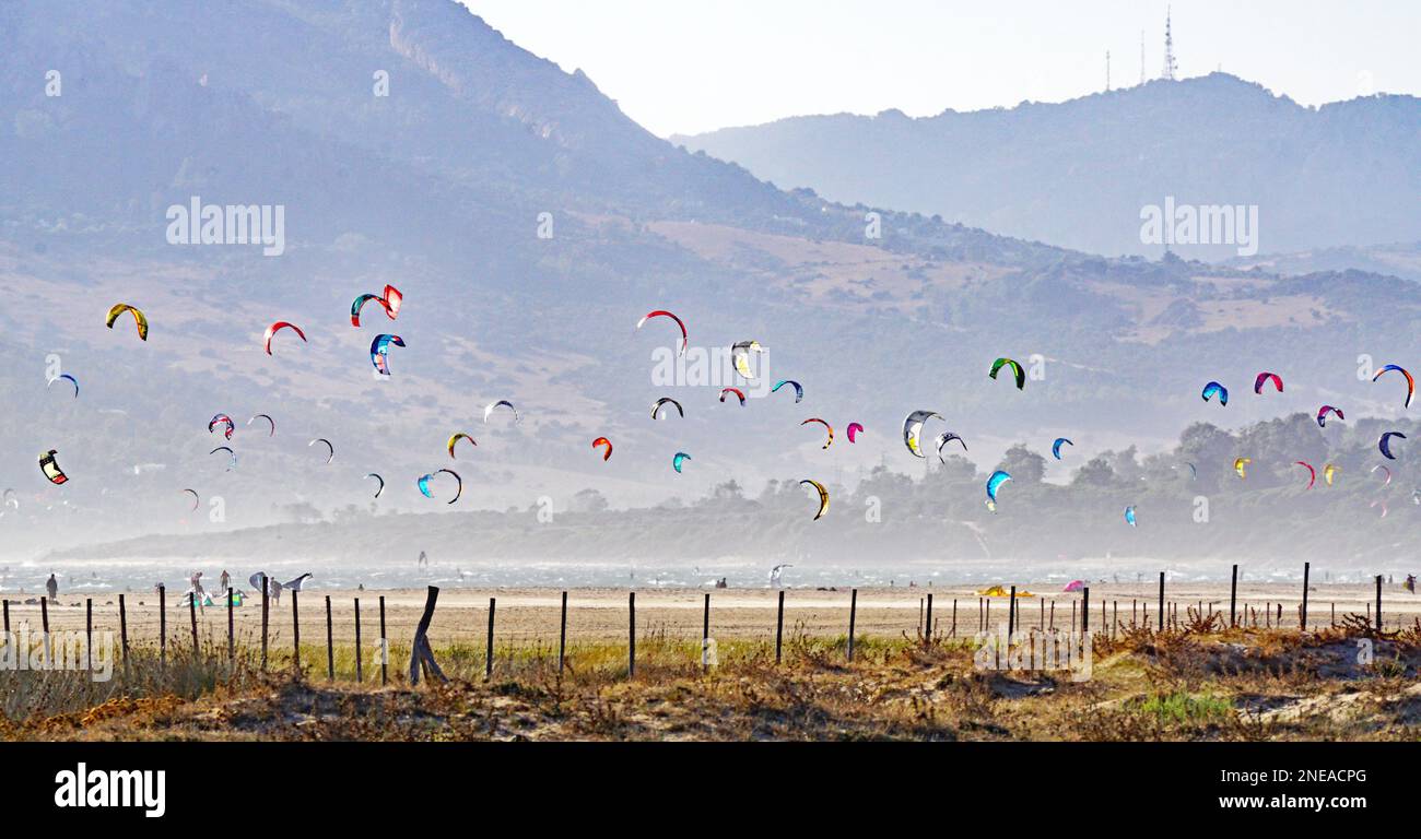 Panoramic of the beach of Tarifa with kitesurfing kites, Cadiz, Spain, Europe Stock Photo Alamy