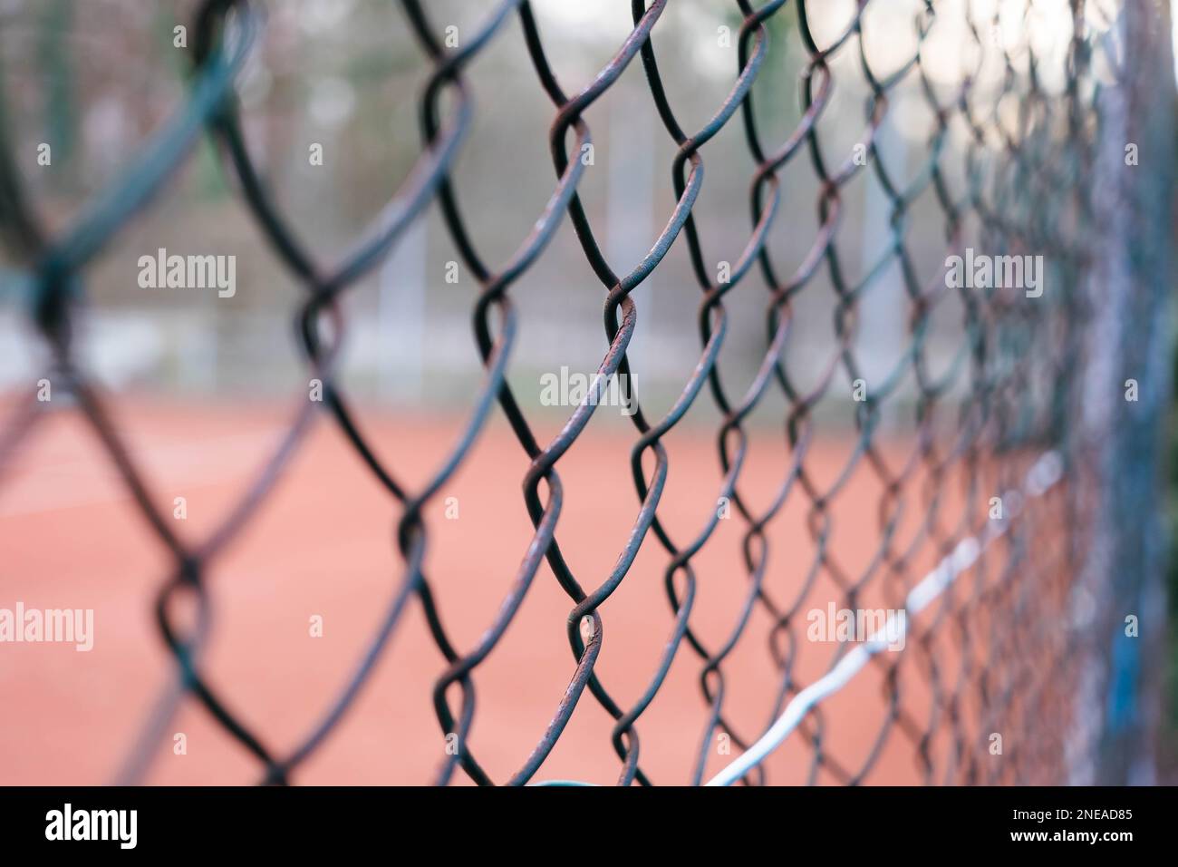 Close-up on a chain-link fence with a tennis court in the background. The horizontal image is in the forest. Stock Photo