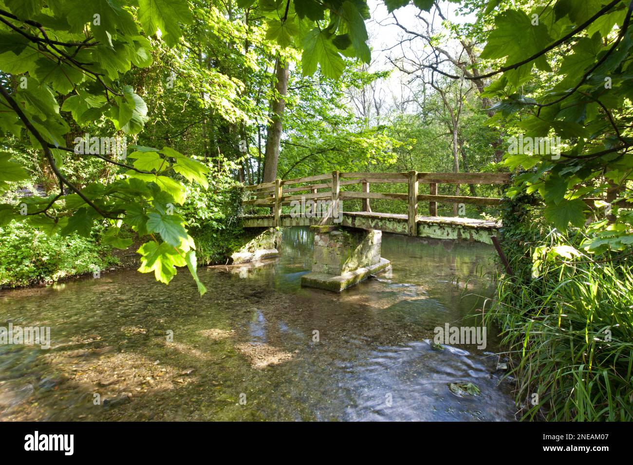 A footbridge on the River Wylye at Kingston Deverill in Wiltshire. Stock Photo