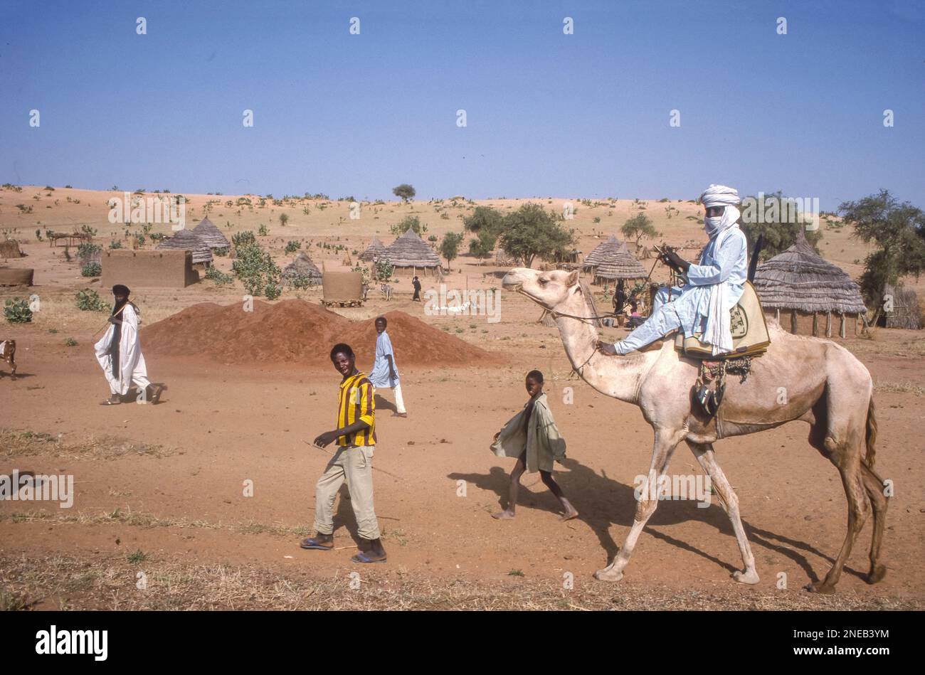 iger - Man riding a camel. In the background the sanddunes are getting nearer every year due to the steady desertification. Stock Photo