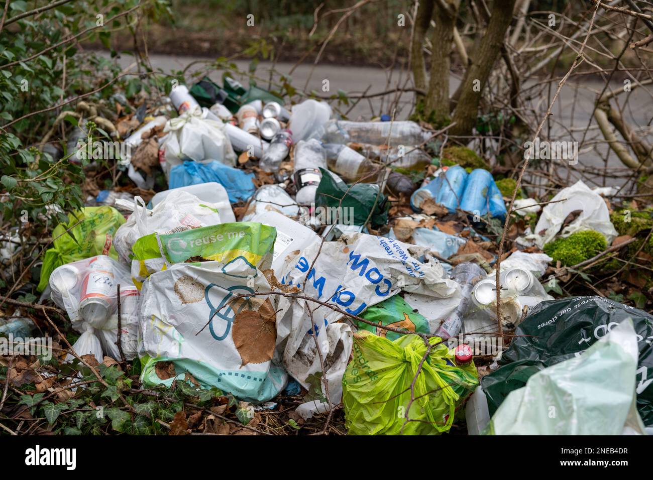 Litter thrown out in a woodland area in a layby on a roadside, Cumbria, UK. Stock Photo