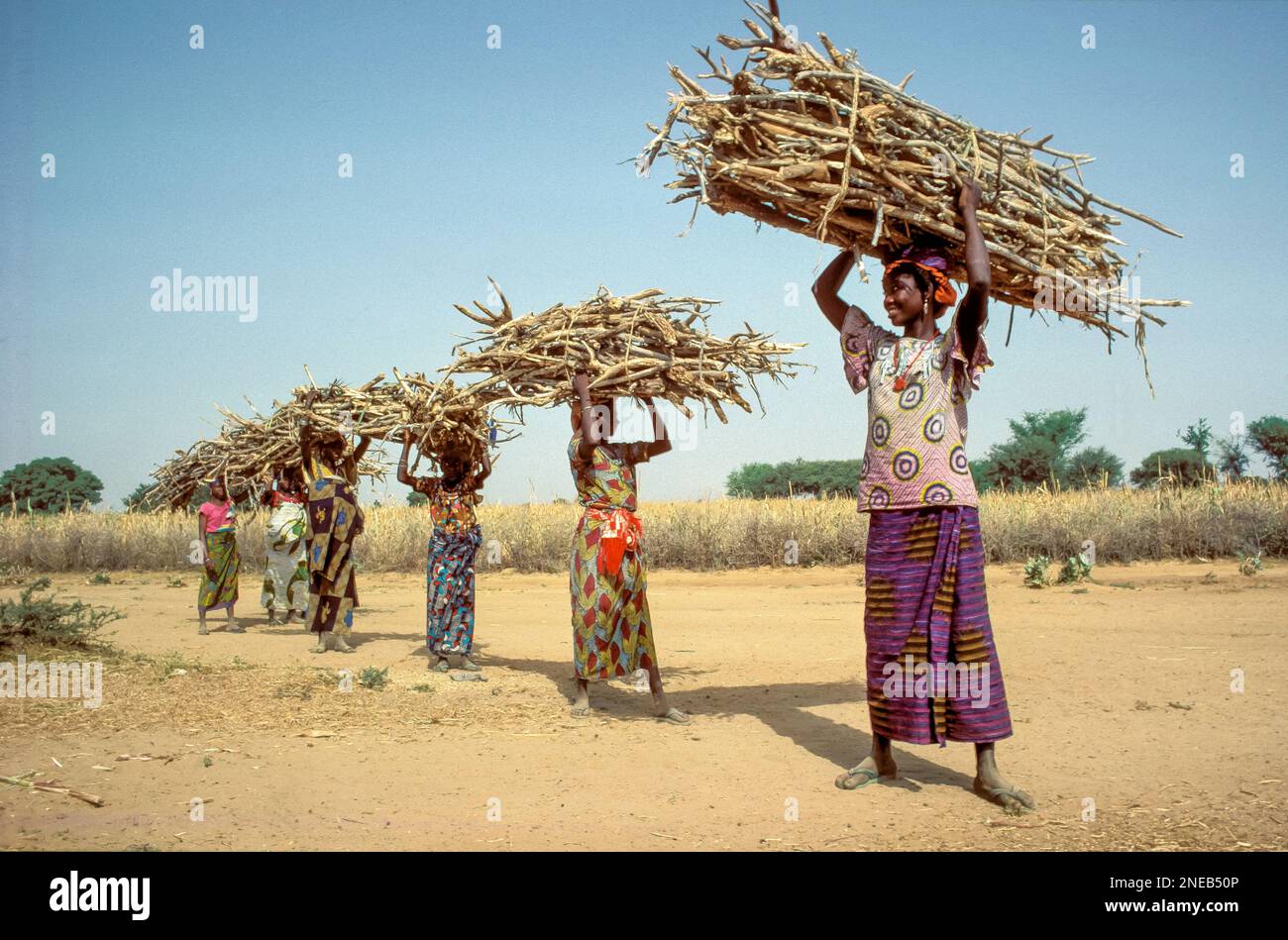 Women carrying firewood. Niger Stock Photo