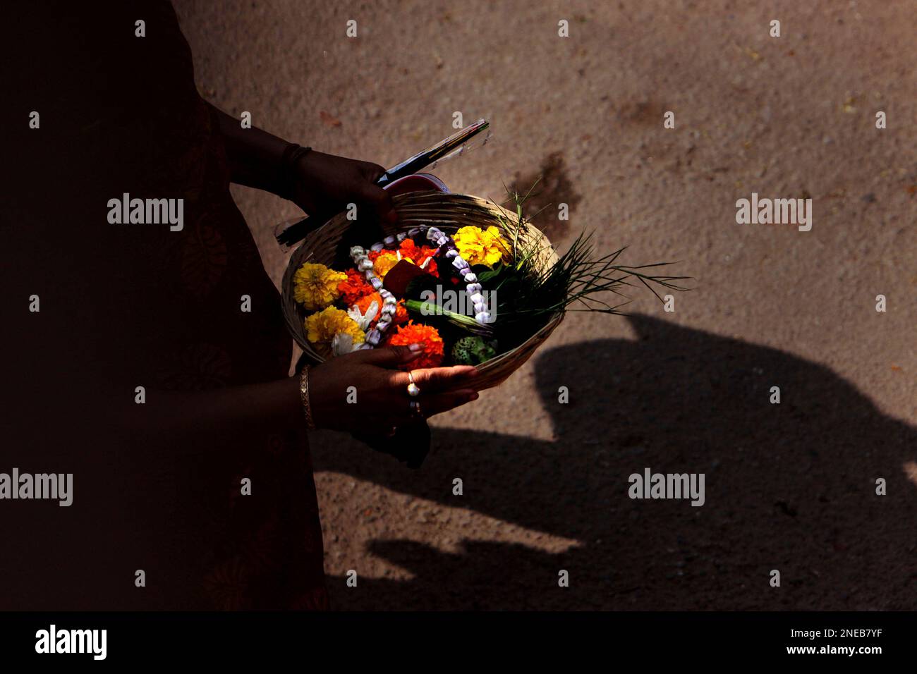 A devotee carries offerings in a basket during Shivratri festival, at a