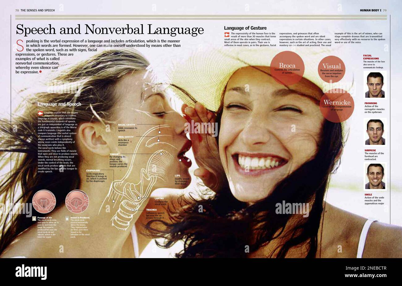 Exposes forms of corporal communication through speech and body language. Describe the mechanism of speech and sign language illustrates the different facial expressions. [6259x4015]. Stock Photo