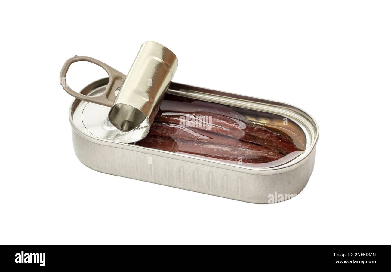 Opened tin can of anchovy fillet in oil isolated on a white background