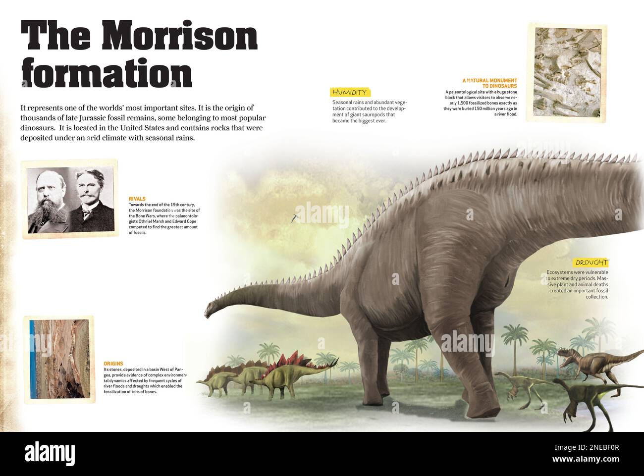 Infographics about the Morrison formation, a paleontological site in