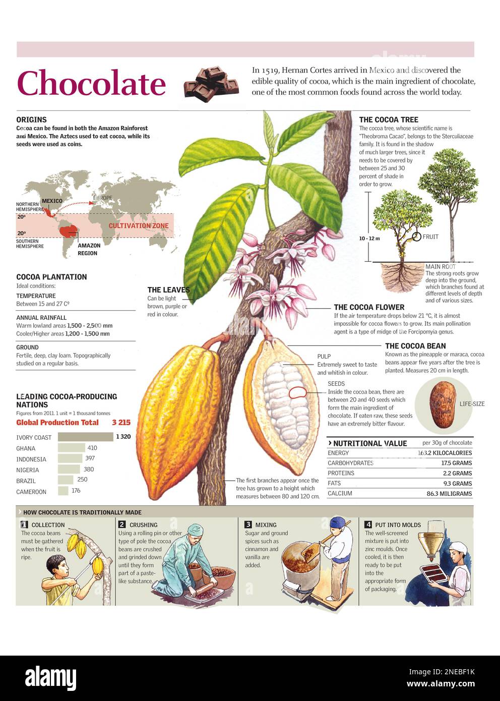 Infographic on the cocoa plant and the origin, production and making of