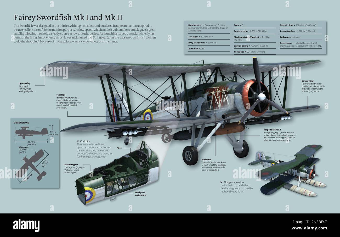 Infographic about the Fairey Swordfish Mk I and Mk II, excellent airplane nicknamed stringbag for its ability to adapt too any armament. [Adobe InDesign (.indd); 5078x3188]. Stock Photo