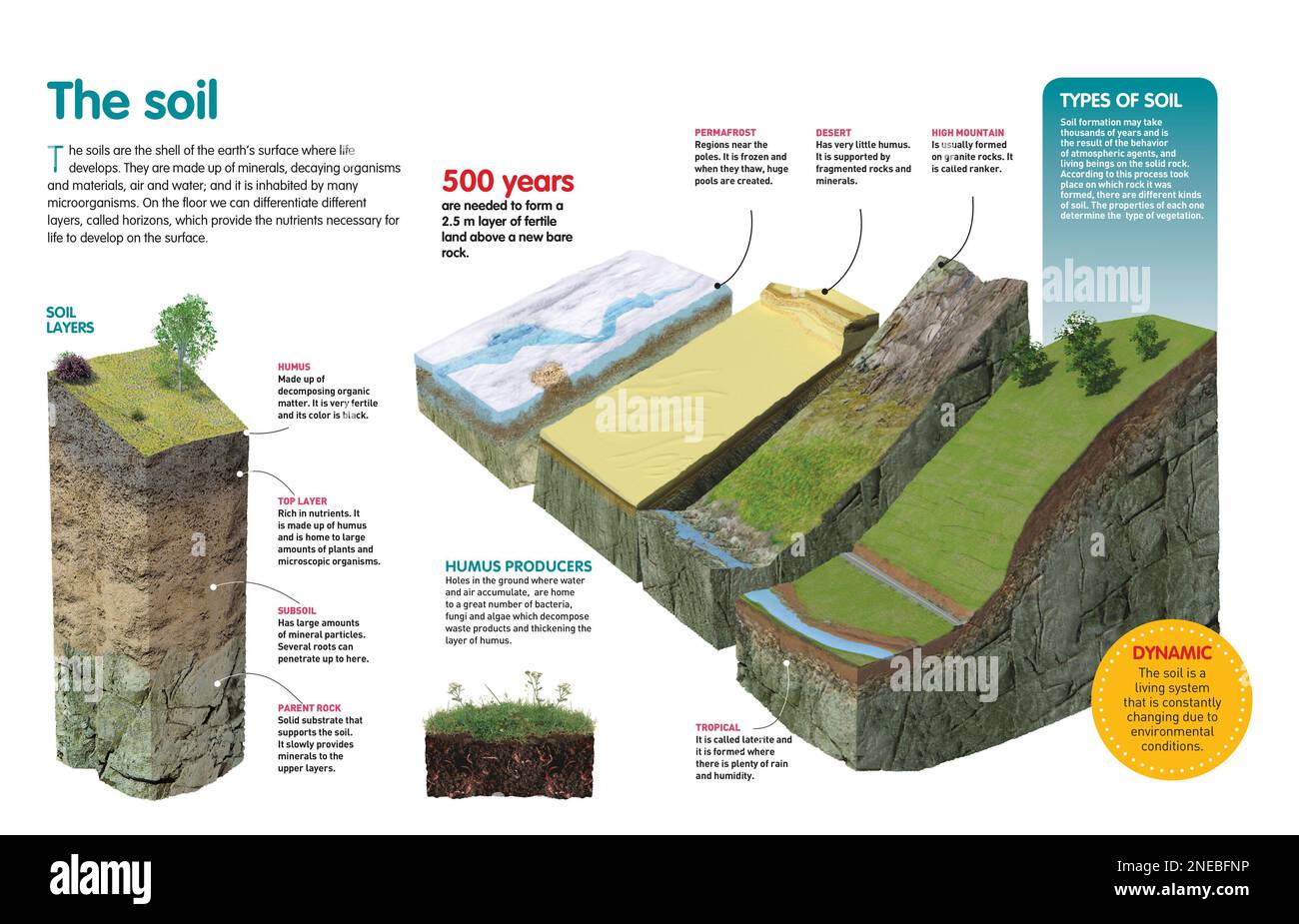 Infographic about the different types of ground, its characteristics and main components