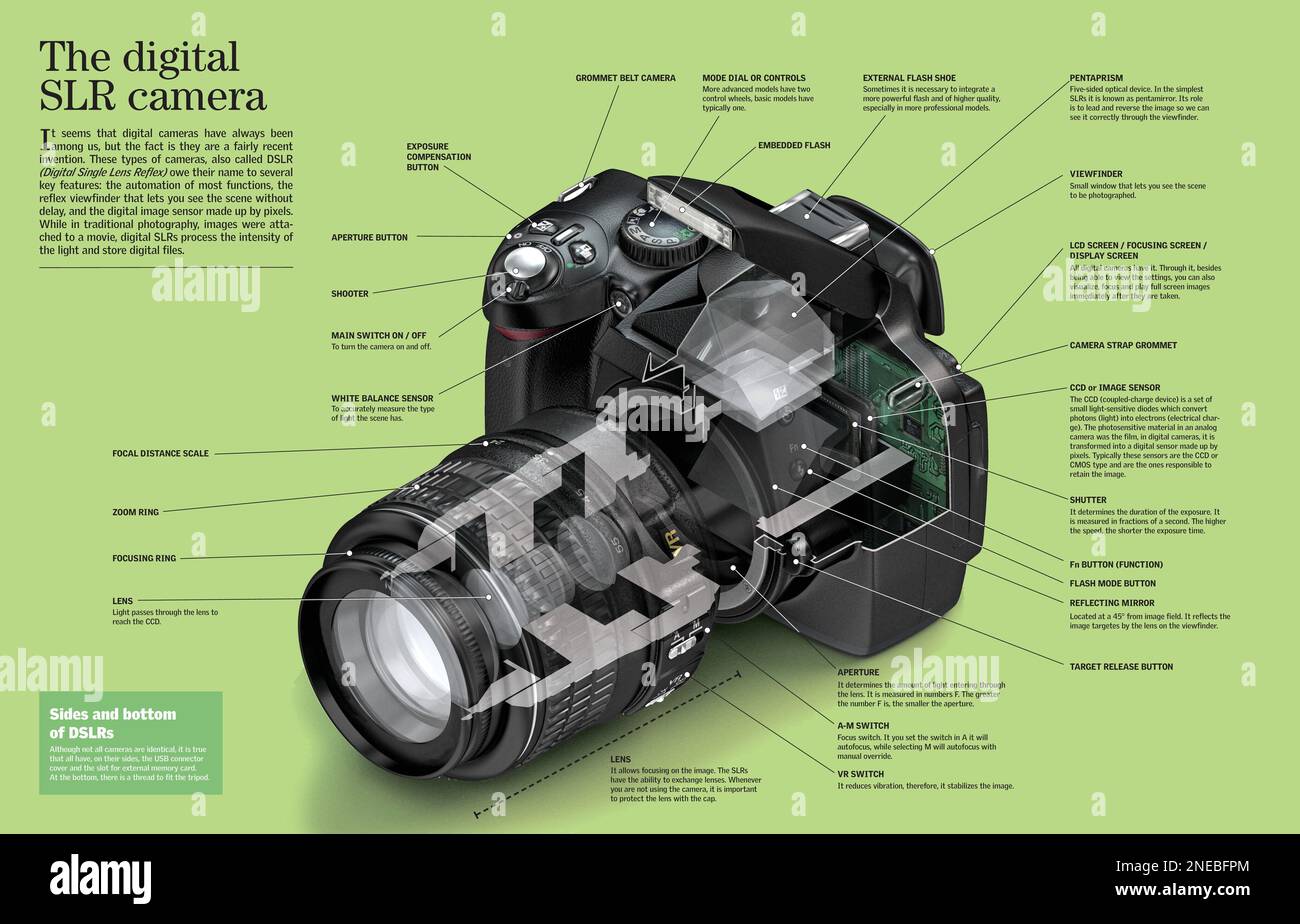 Infographic about the parts of the digital SLR camera, where instead of needing a photographic film, store the files digitally. [Adobe InDesign (.indd); 6259x4015]. Stock Photo