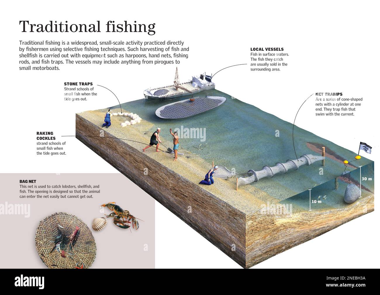 Infographic about the art of artisan fishing, that is, low scale