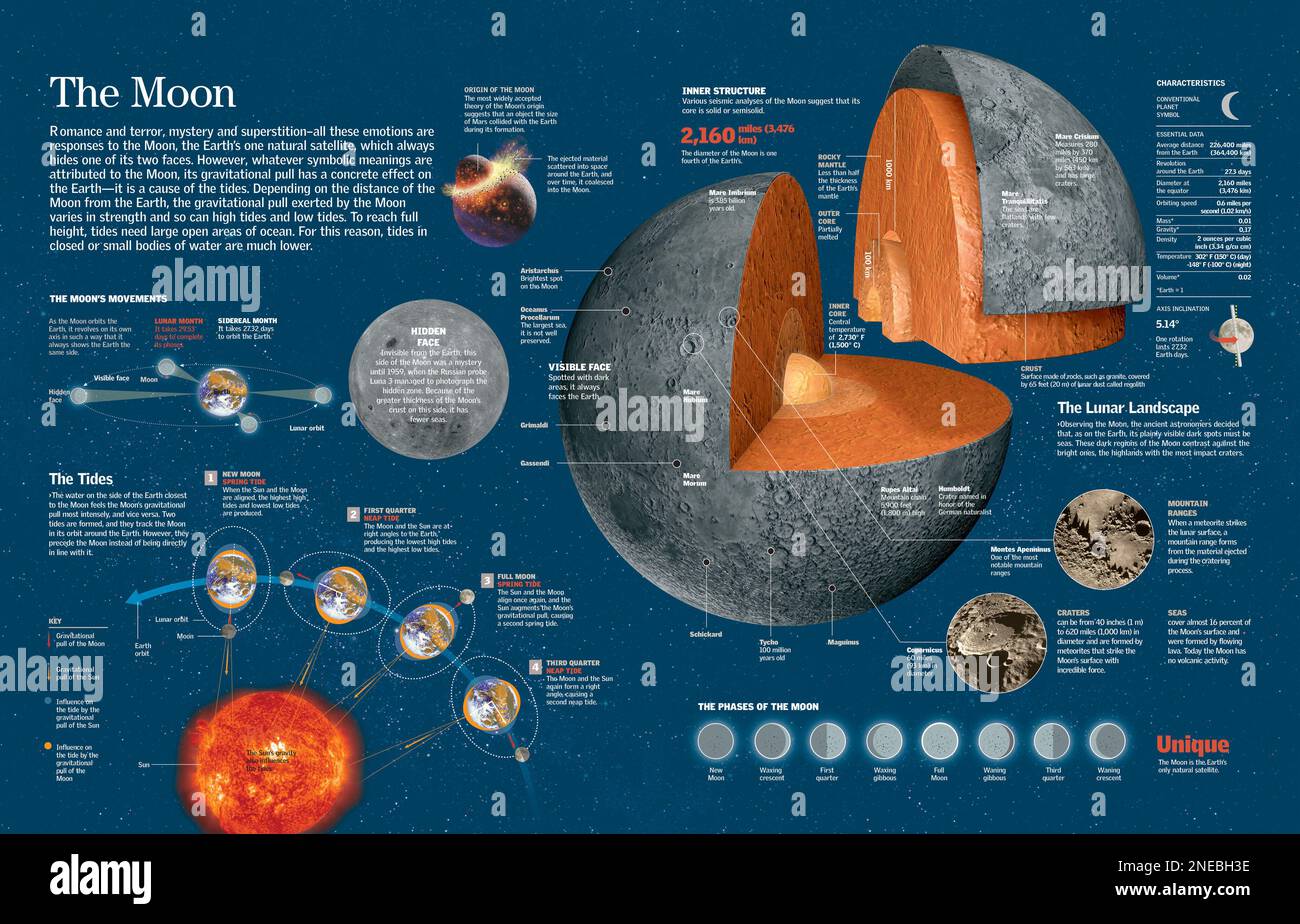 Infographic about origin, geography, structure and phases of the moon