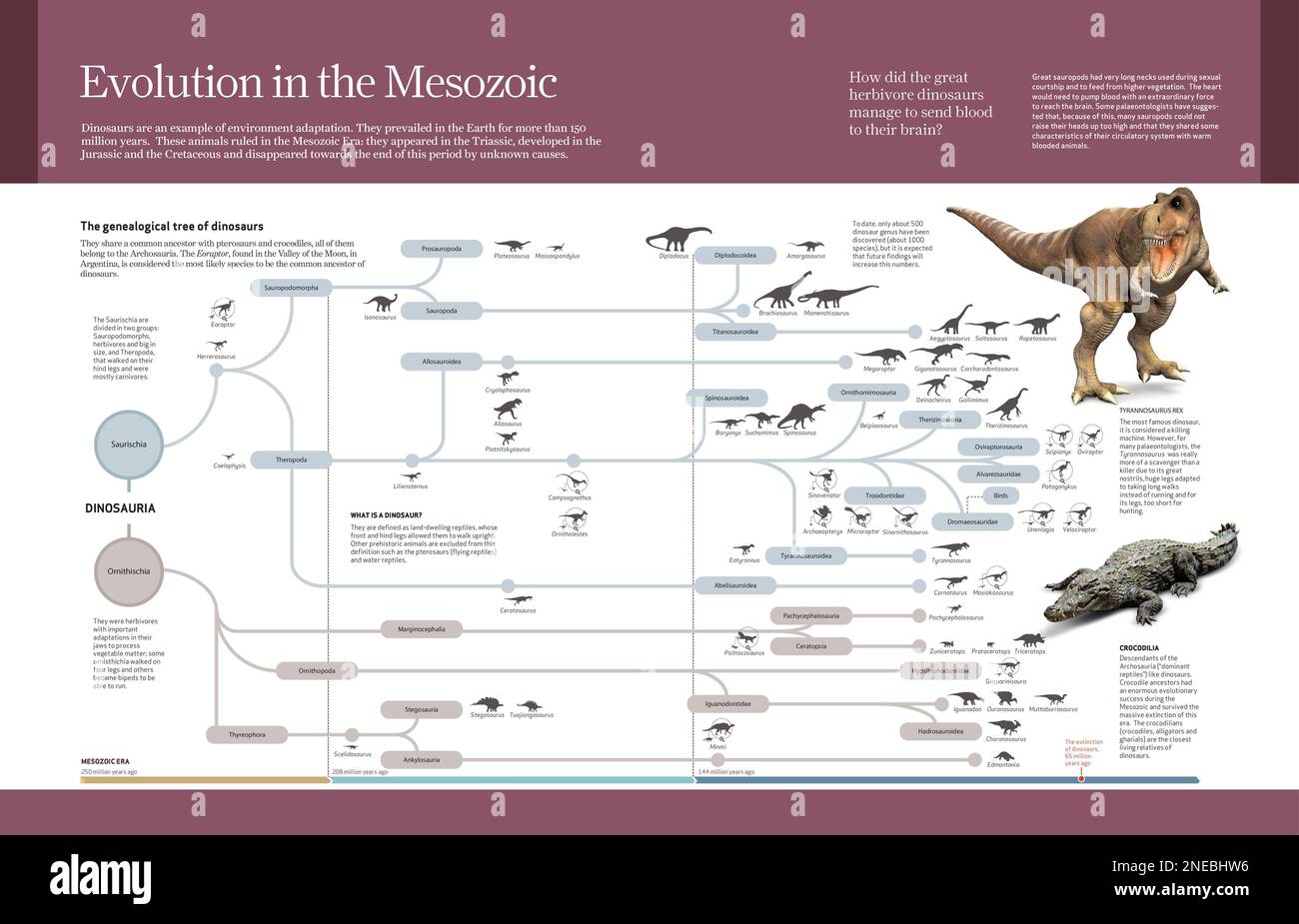 Computer graphics about dinosaur classification and their evolution ...