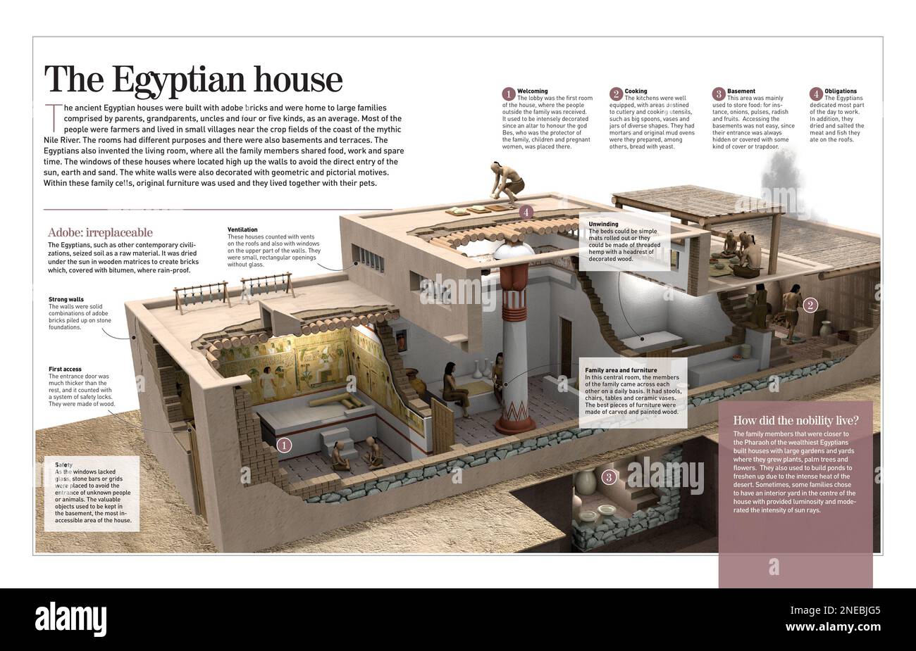 Infographic about houses in Ancient Egypt, built with adobe and