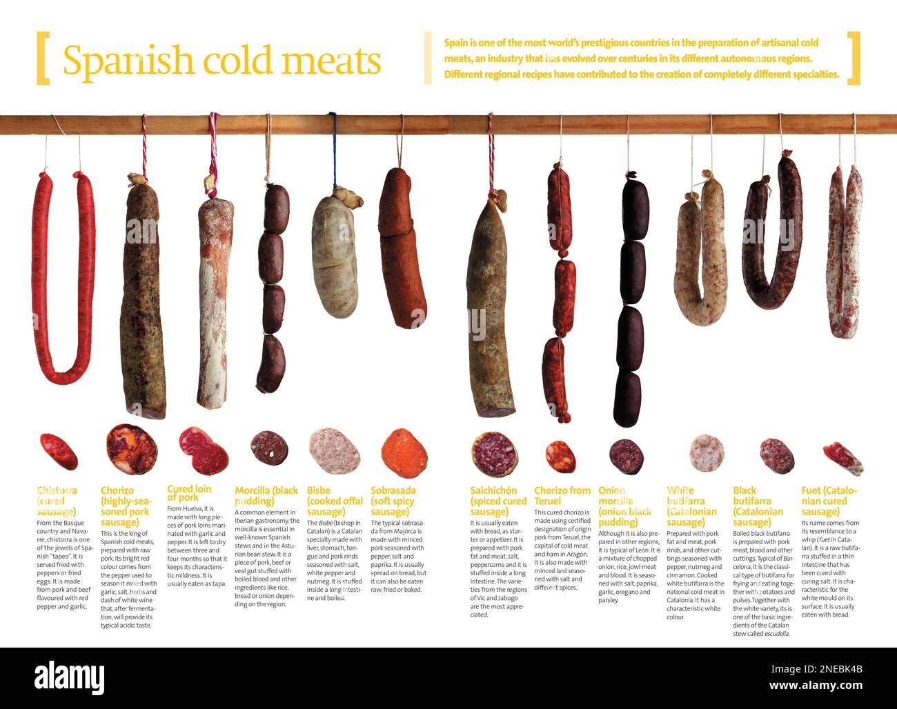 Infographics about Spanish cold meats, varying depending on the regions