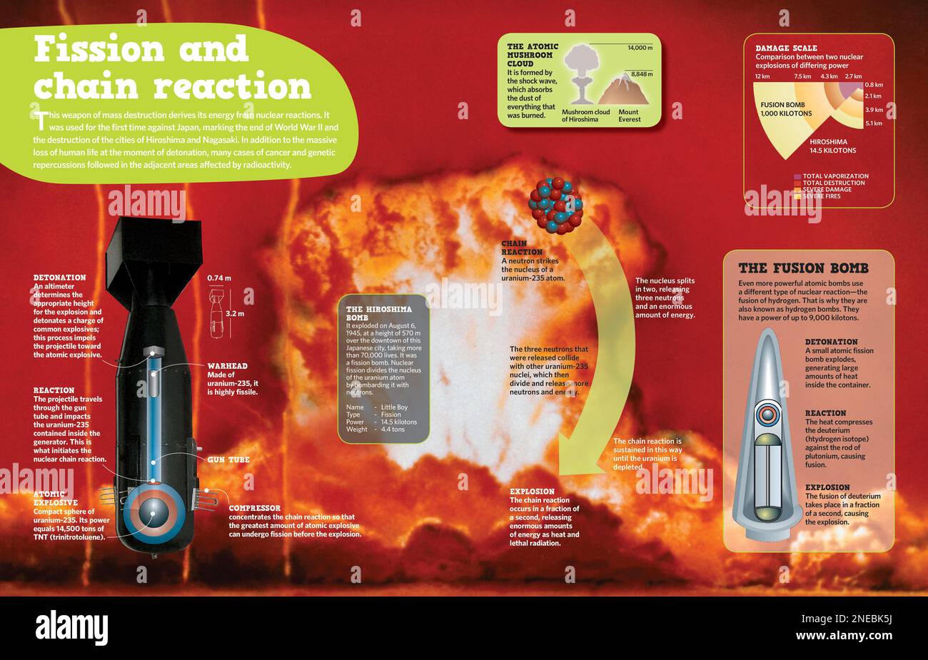 Infographic on nuclear reactions of atomic bombs fission, like