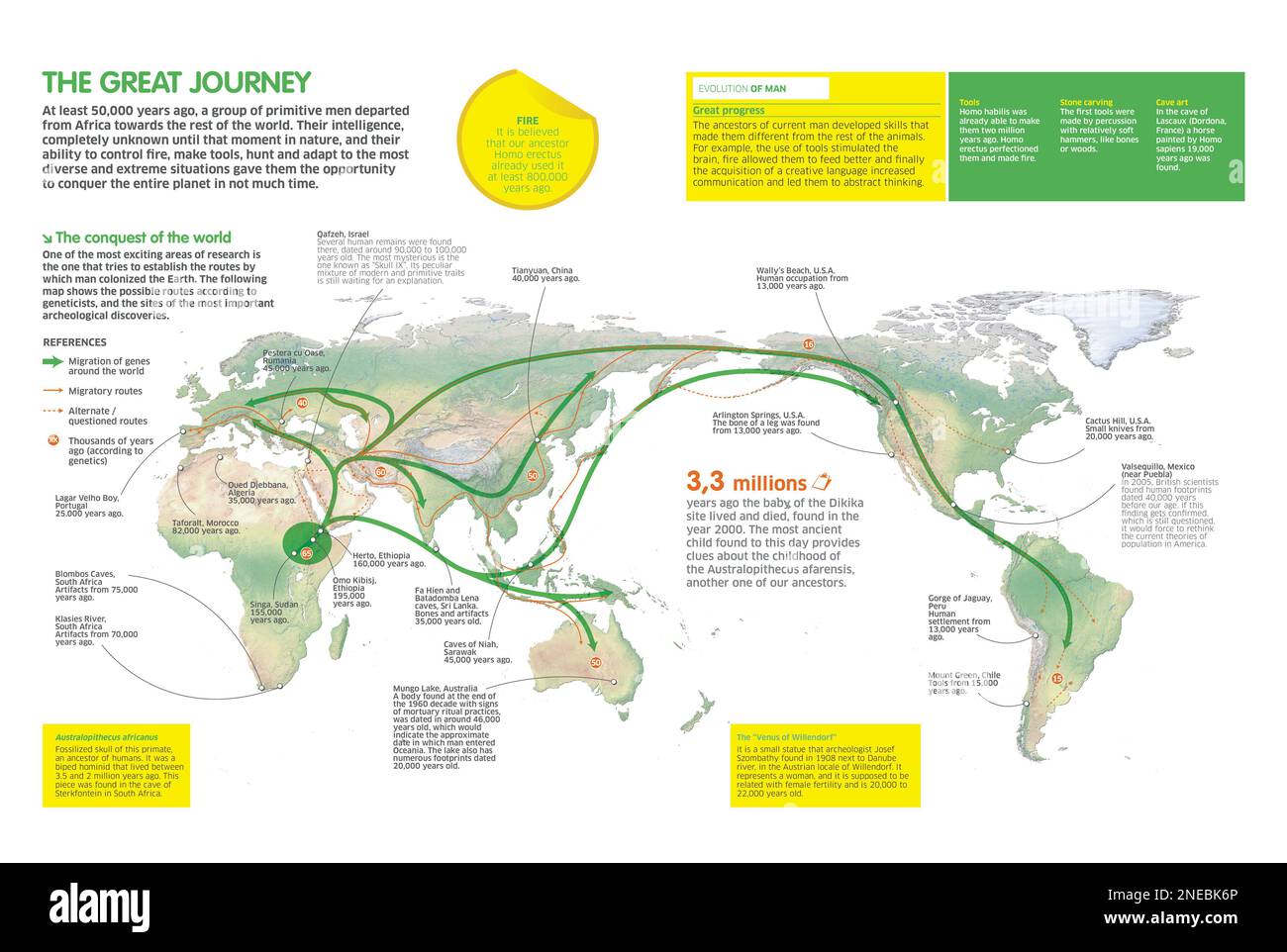 Infographic that shows the routes that the first hominids followed around the world. Information about archeological findings is also included. [Adobe InDesign (.indd); 4842x3248]. Stock Photo