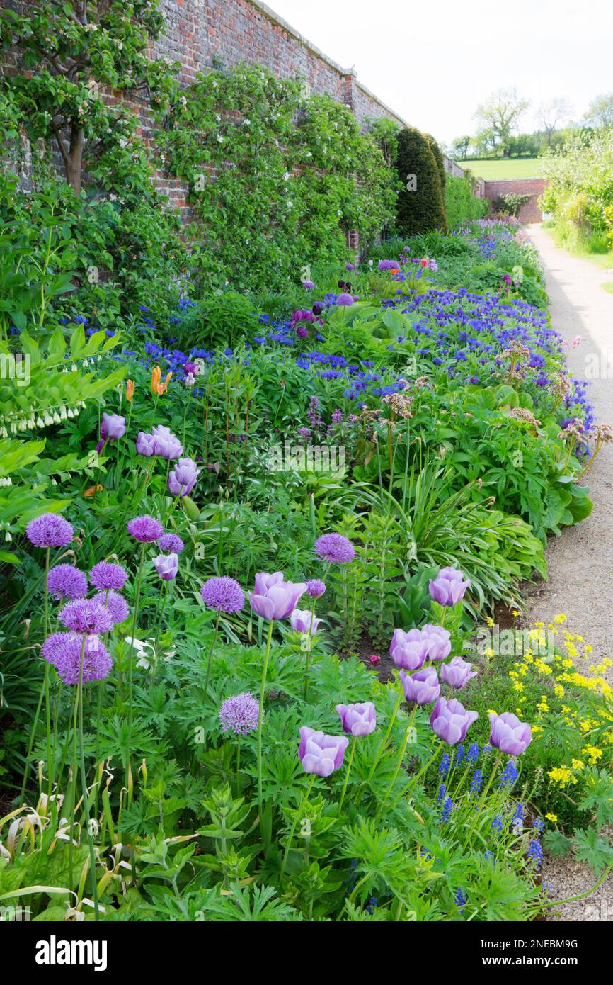 Colourful herbaceous flower border hi-res stock photography and images ...
