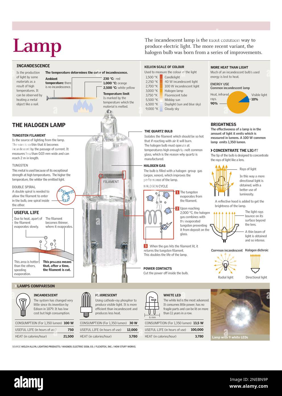 Infographics of how a halogen lamp works and the comparison with an
