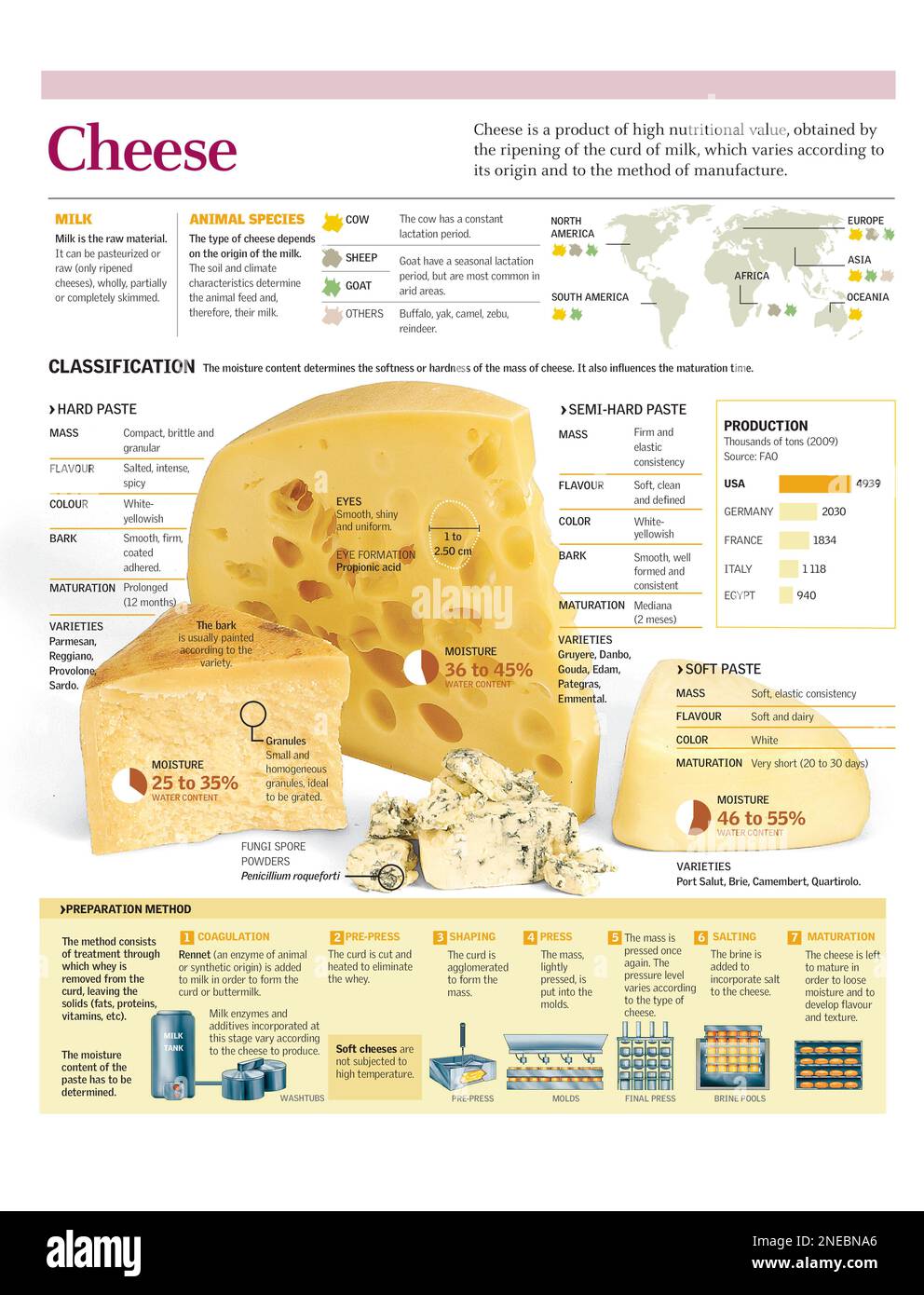 Illustration on the types of cheese, composition, processing and