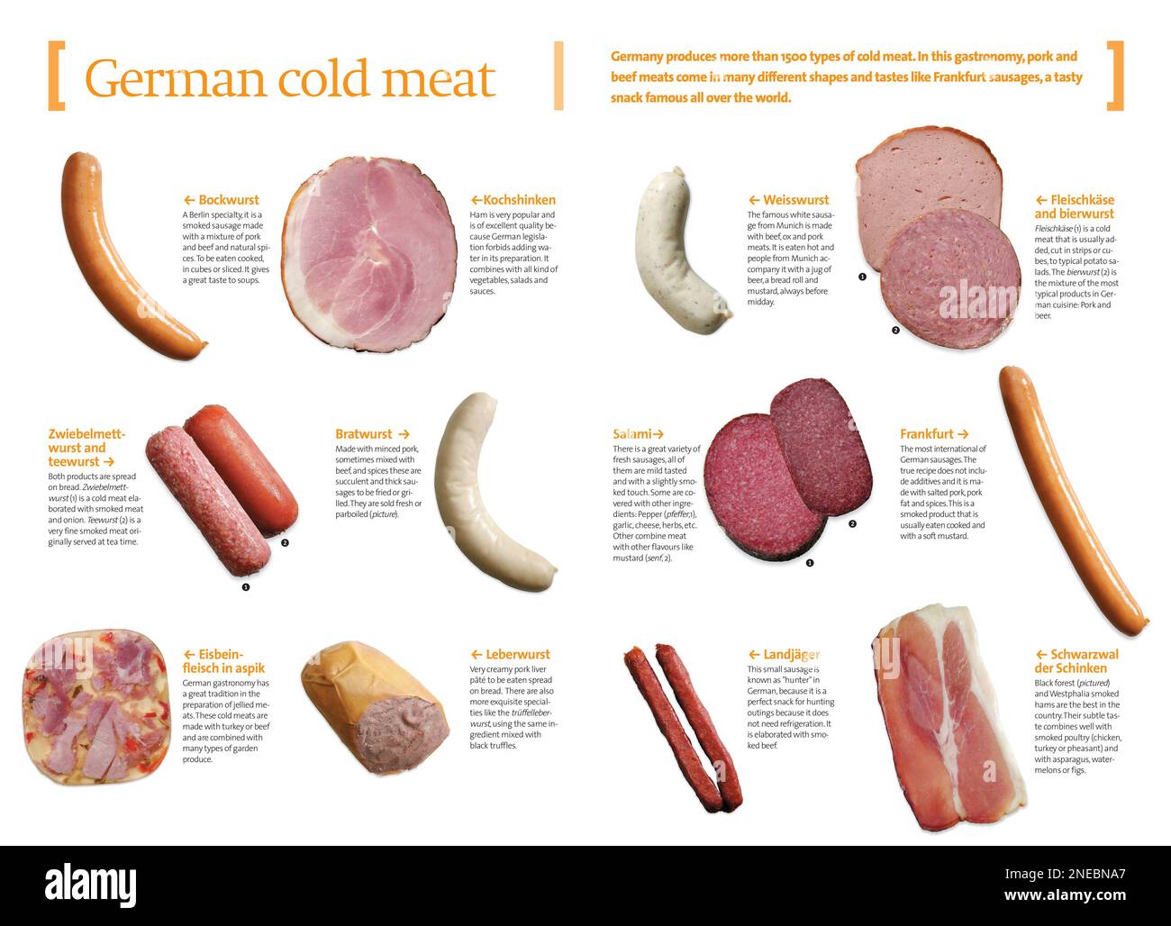 Infographics about typical German cold meats. [QuarkXPress (.qxp); 4251x3129]. Stock Photo
