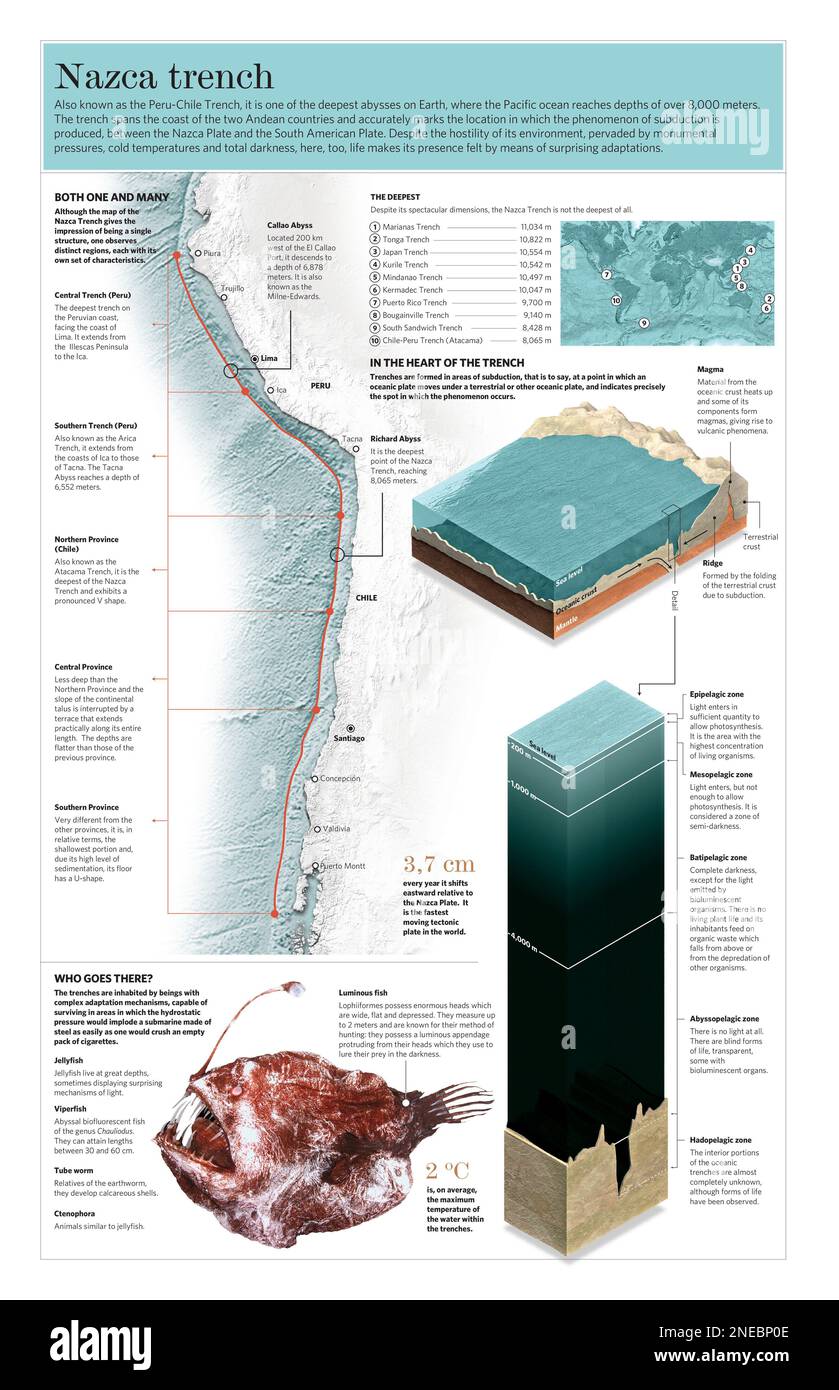 Infographic of the physical characteristics and fauna of the Nazca Trench, on the Andean coast of the Pacific Ocean. [Adobe Illustrator (.ai); 3661x5669]. Stock Photo