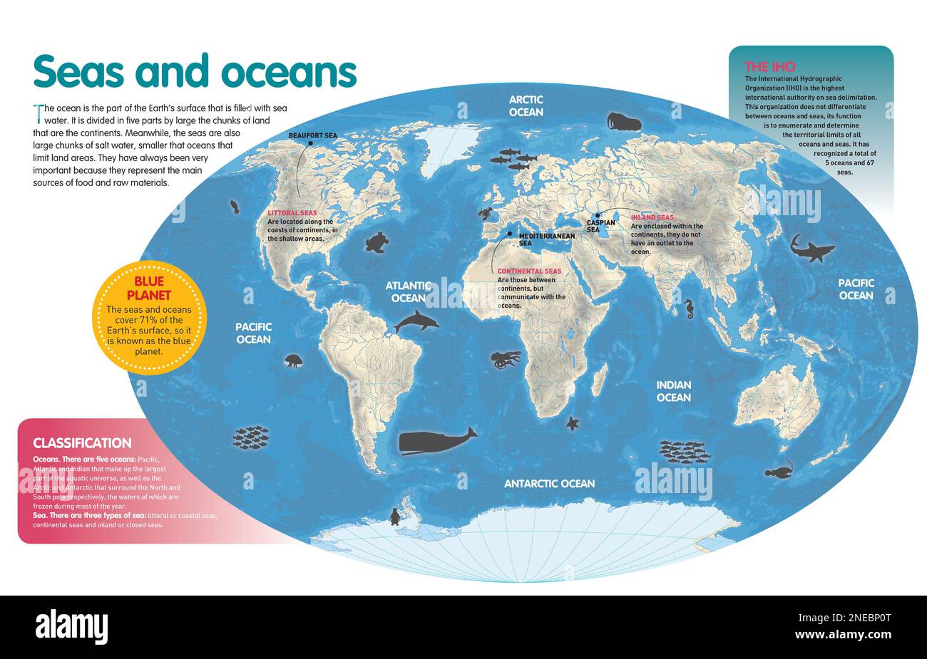 Infographic about the classification of salt water in seas (and its categories) and oceans