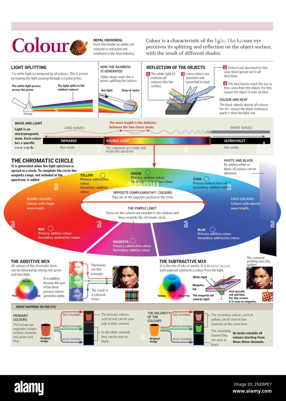 Infographics of of the light and the color wheel. [Adobe