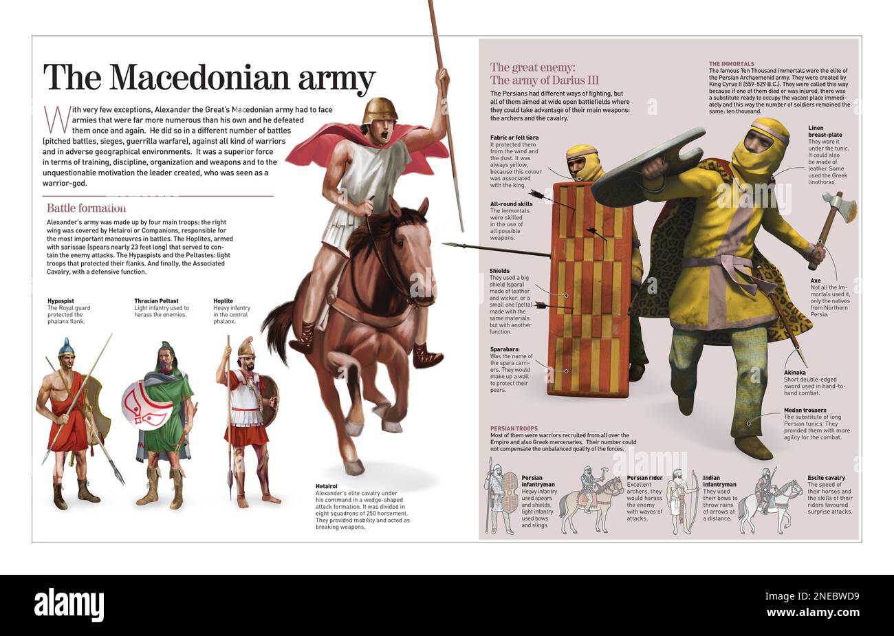 Infographic about the Macedonian army ruled by Alexander the Great and his worst enemy, the Army of Darius III (Persian). [Adobe InDesign (.indd); 4960x3188]. Stock Photo
