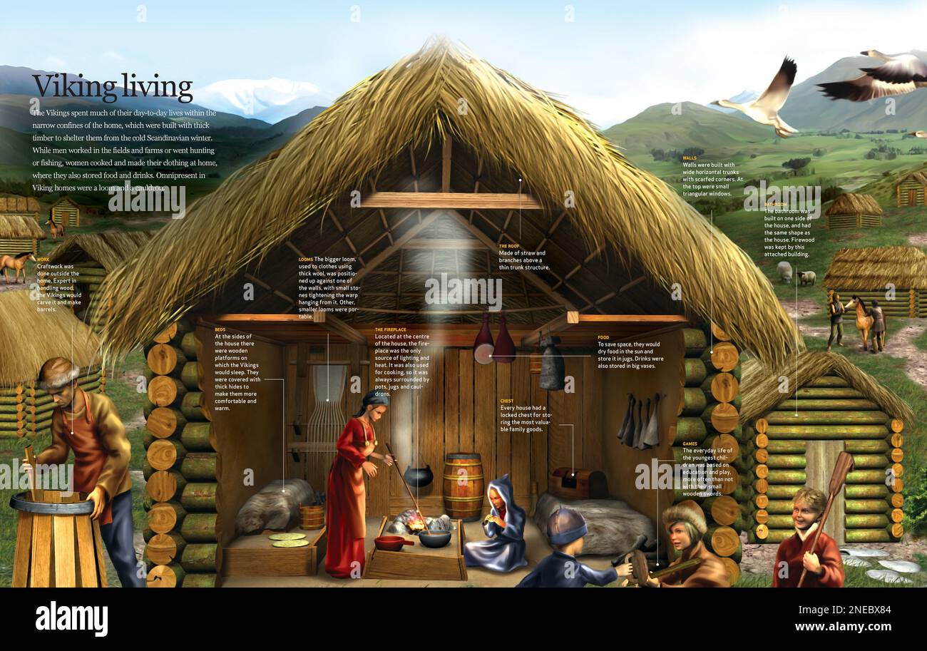 Infographics about the daily life of the Viking in a village and its  typical housing structure. [QuarkXPress (.qxp); 6188x3921] Stock Photo -  Alamy