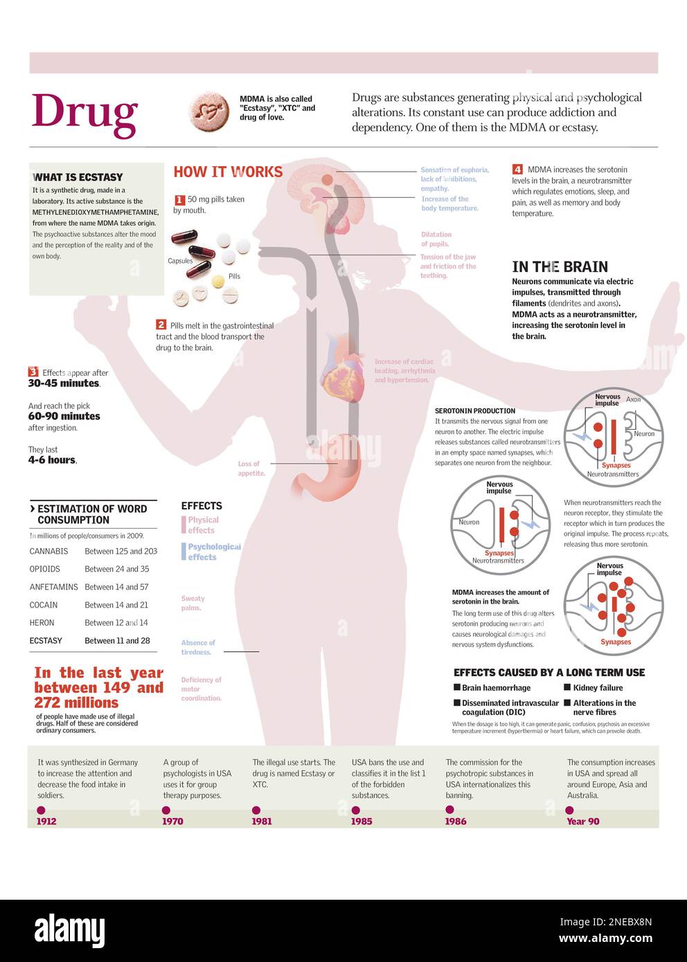 Infographics of the action and effects of ecstasy on the human body