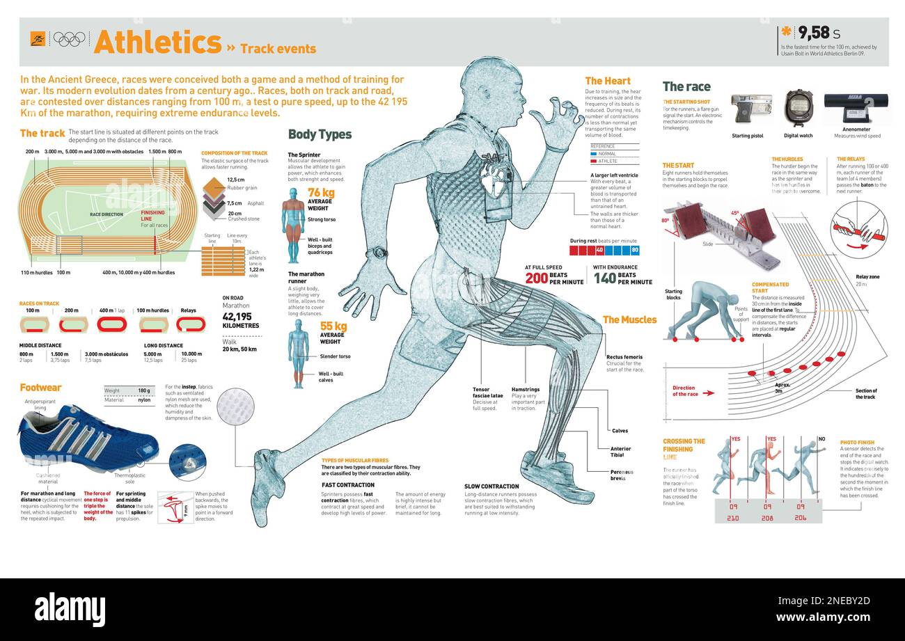 Infographics about different types of races, on road and on racetrack