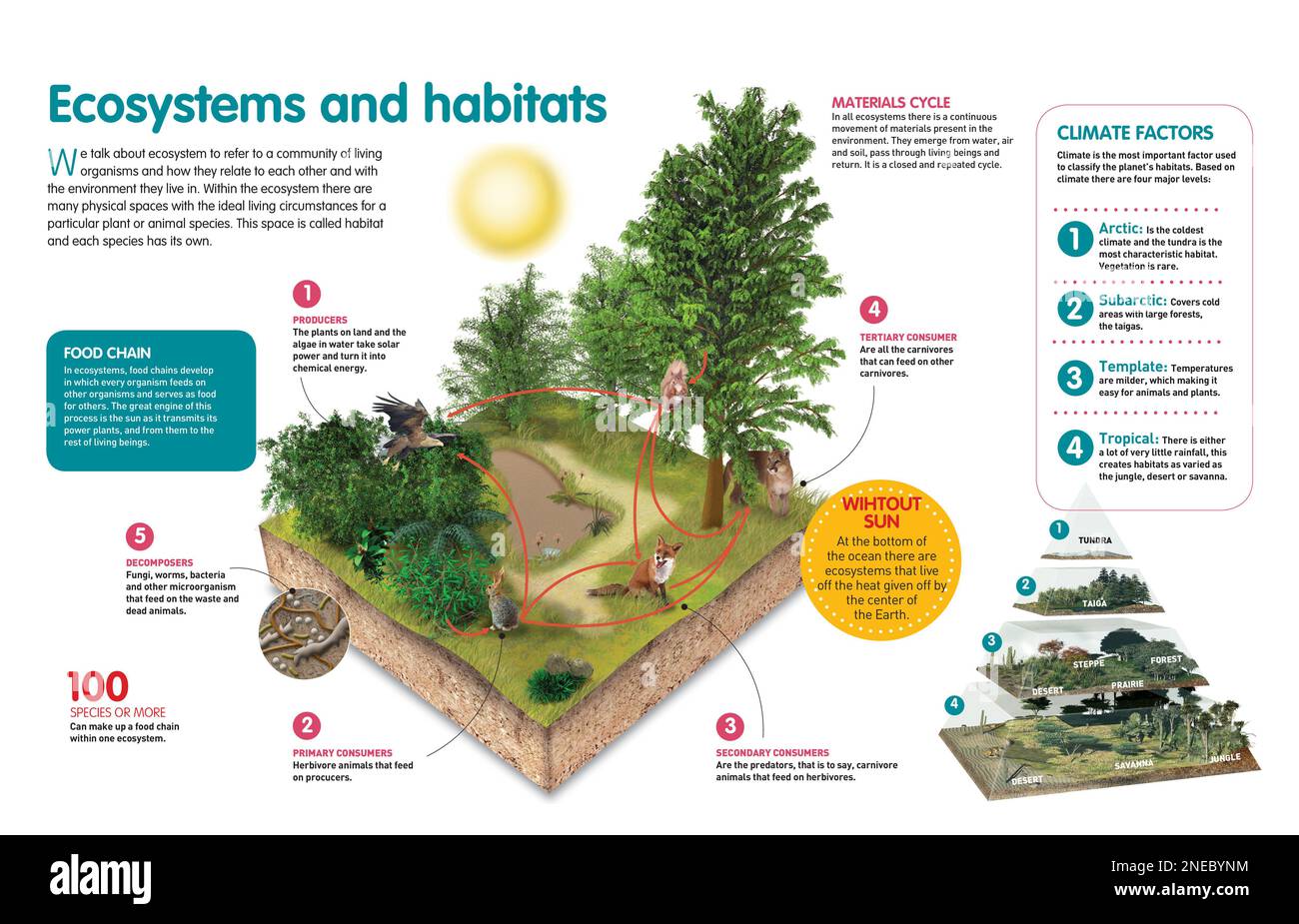 Infographic about the relationships between living beings in an ecosystem, and the classification of habitats. [QuarkXPress (.qxp); Adobe InDesign (.indd); 4960x3188]. Stock Photo