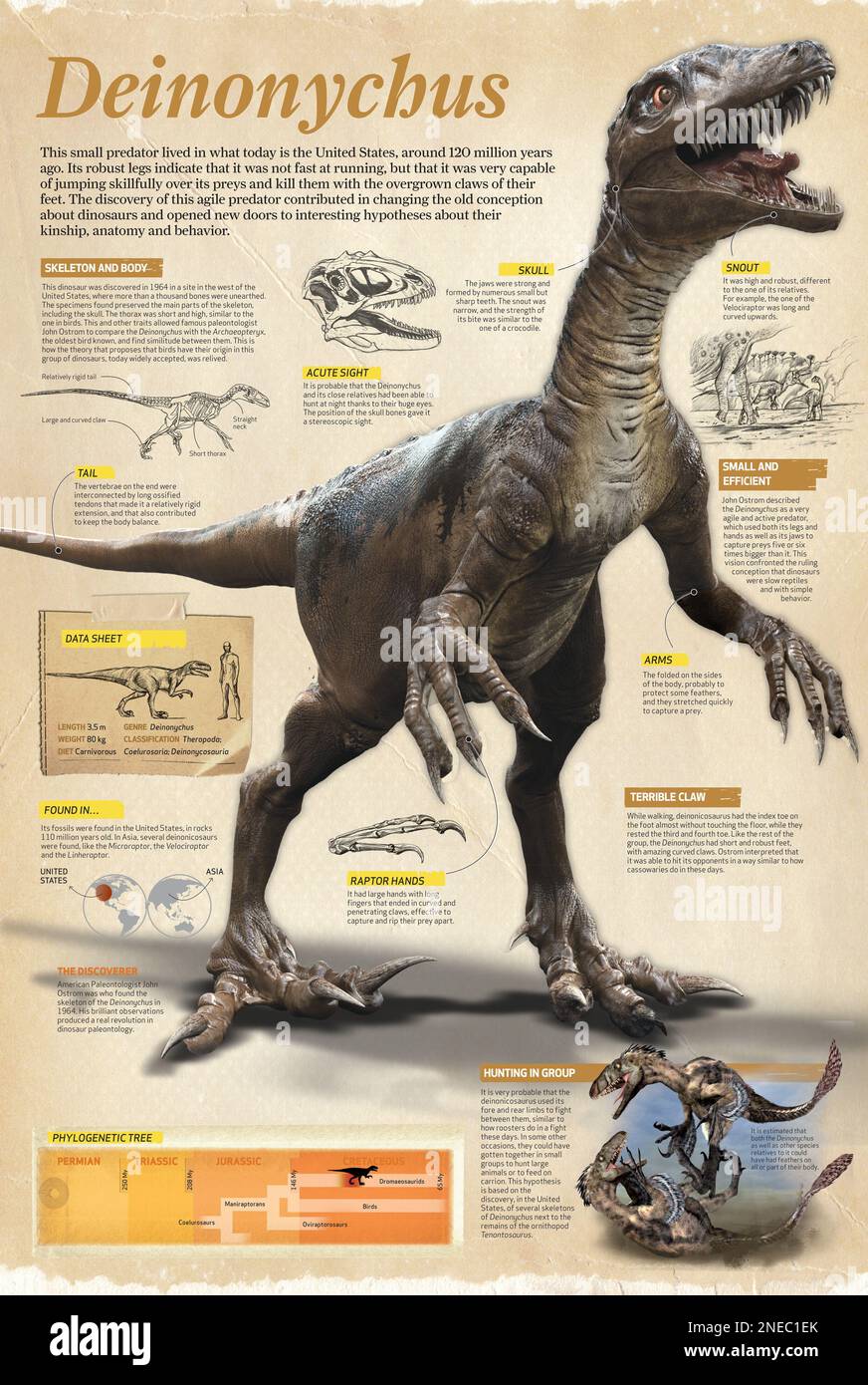 Pterosaurs Thrived In Antarctic Forests Over 100 Million Years Ago